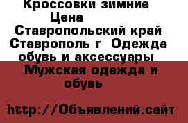 Кроссовки зимние › Цена ­ 4 500 - Ставропольский край, Ставрополь г. Одежда, обувь и аксессуары » Мужская одежда и обувь   